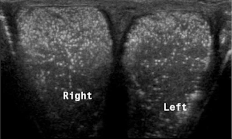 Fig. 17.