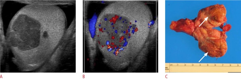 Fig. 24.