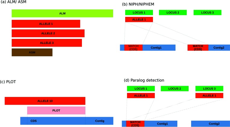 ChewBBACA: A Complete Suite For Gene-by-gene Schema Creation And Strain ...