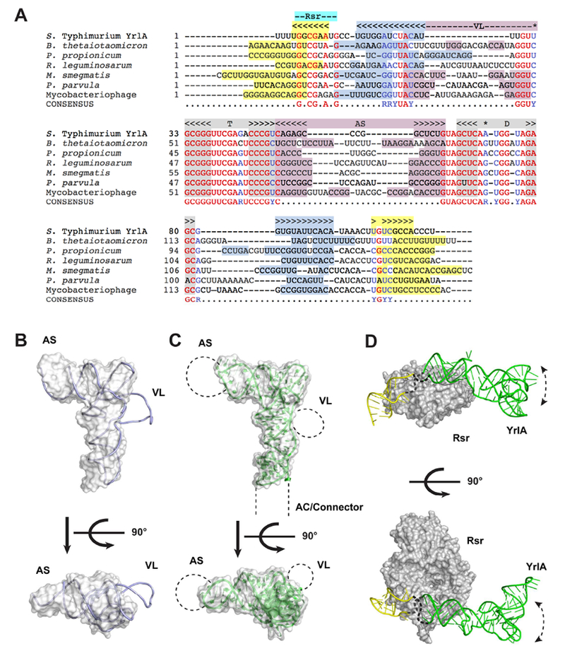 Figure 4.