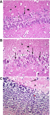 Figure 7.