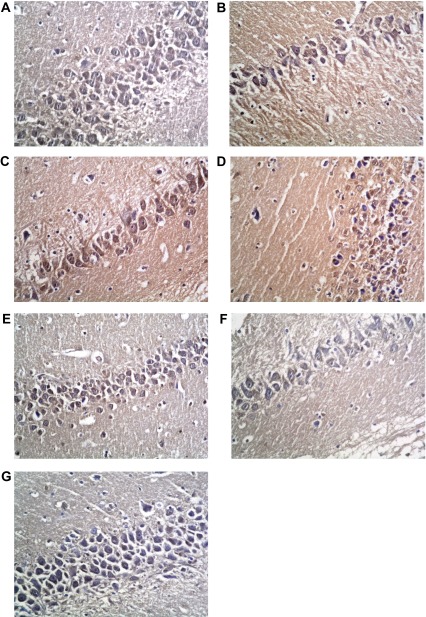 Figure 16. 