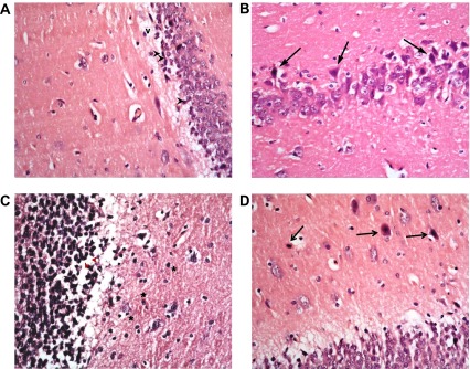 Figure 12. 