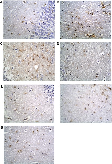 Figure 15. 