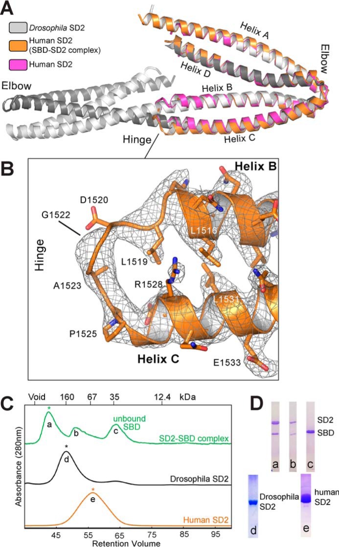 FIGURE 2.