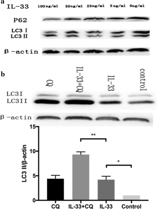 Fig. 5