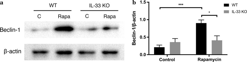 Fig. 7