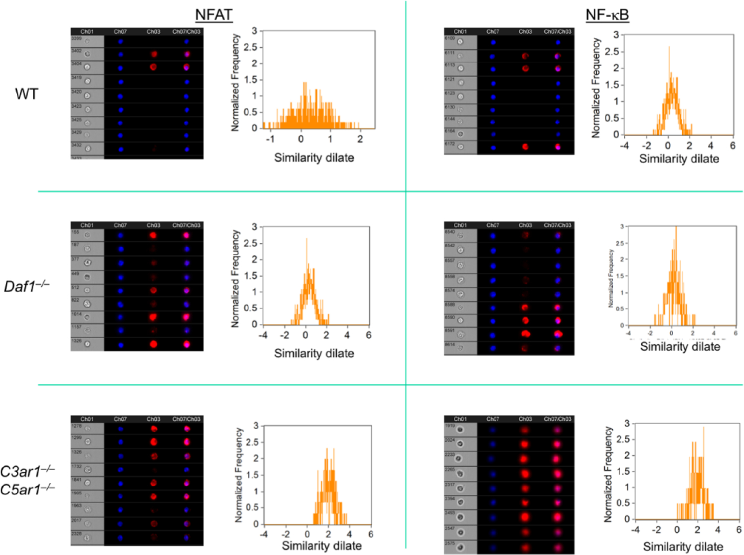 Figure 2: