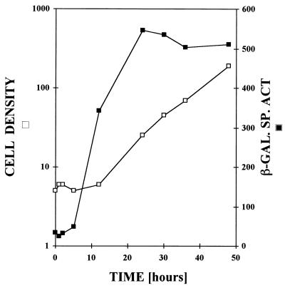 FIG. 1