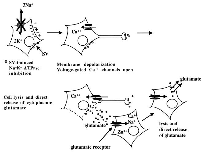 FIG. 6