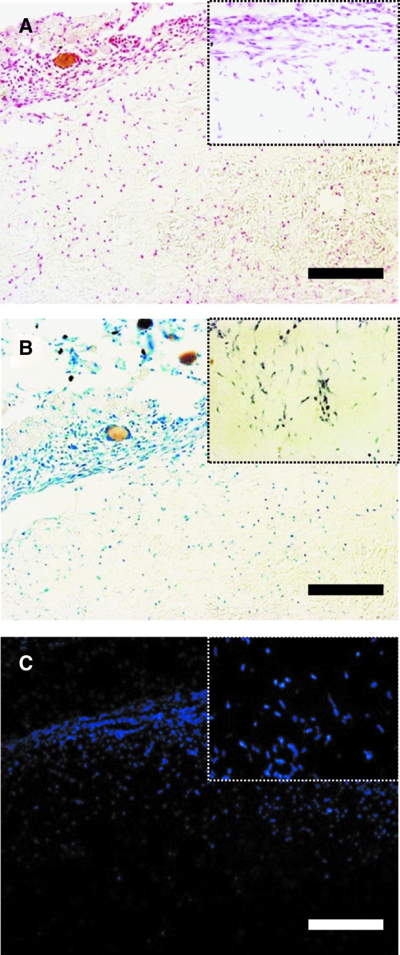 FIG. 6.