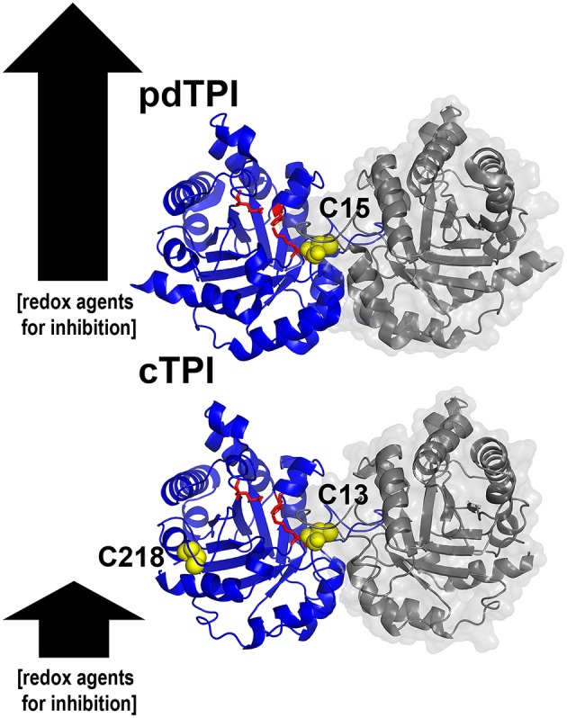 Graphical Abstract