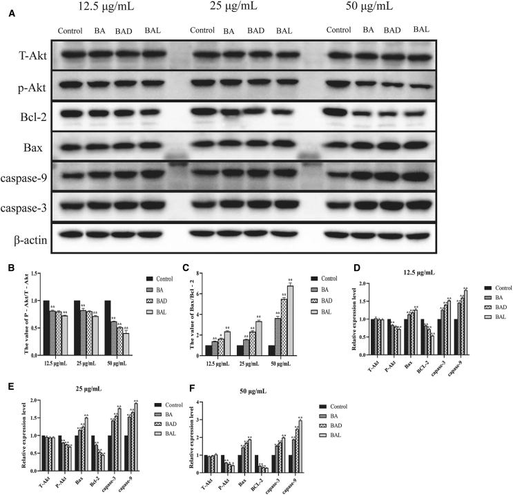 Figure 6