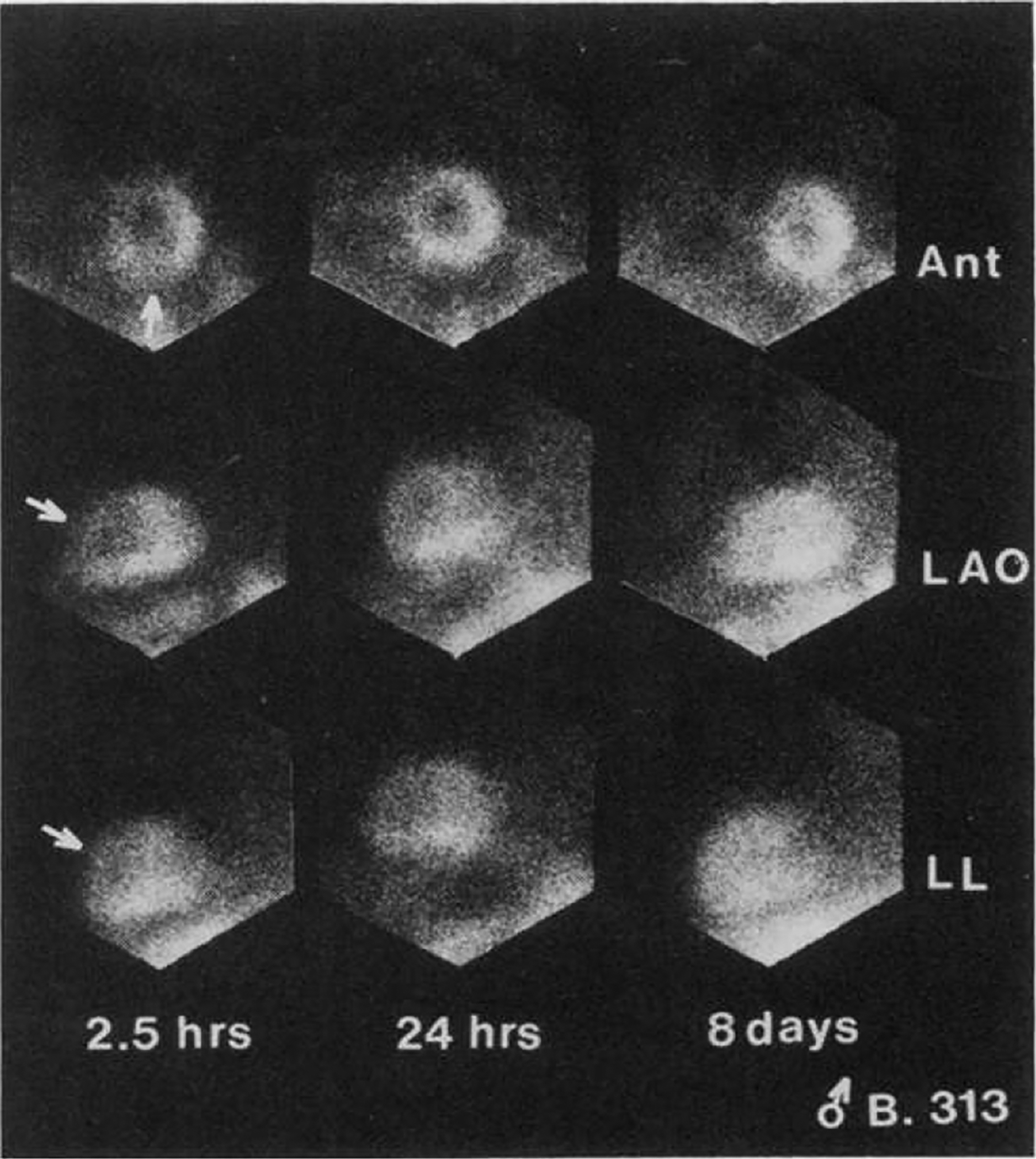 Figure 1: