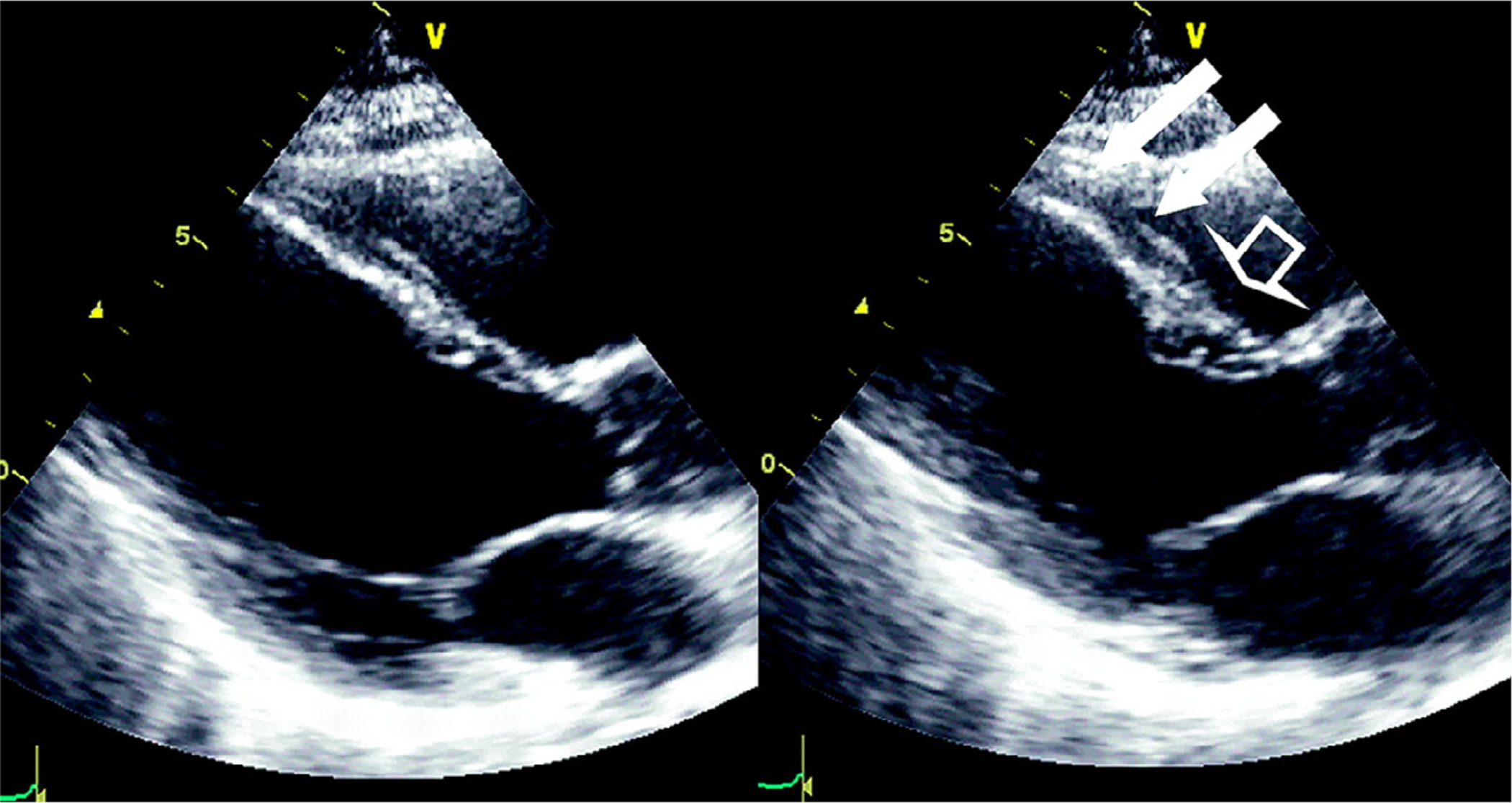 Figure 7: