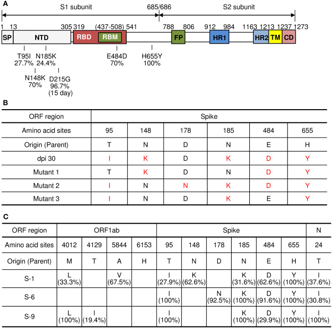 Figure 3