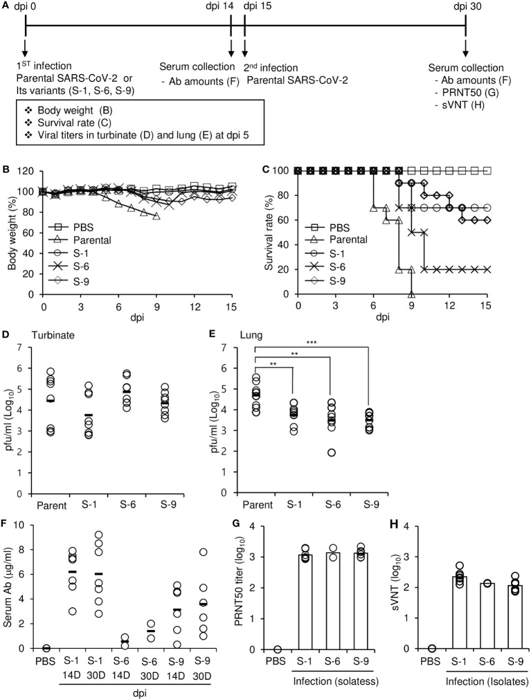 Figure 7