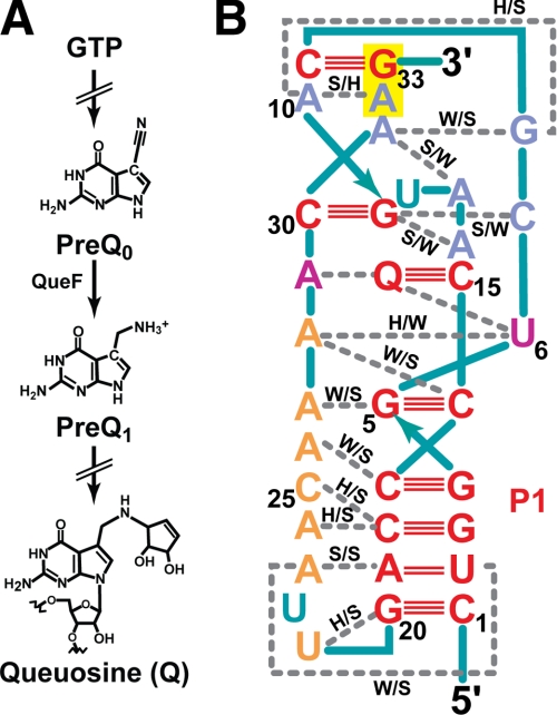 FIGURE 1.