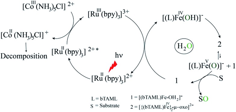 Scheme 2