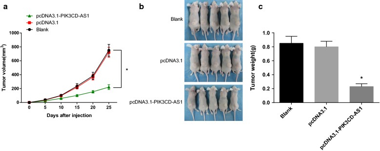 Fig. 8