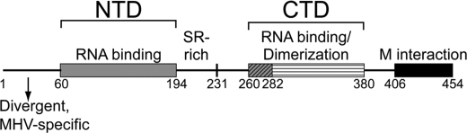 FIGURE 1.