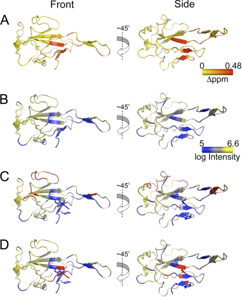 FIGURE 3.