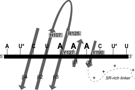 FIGURE 8.