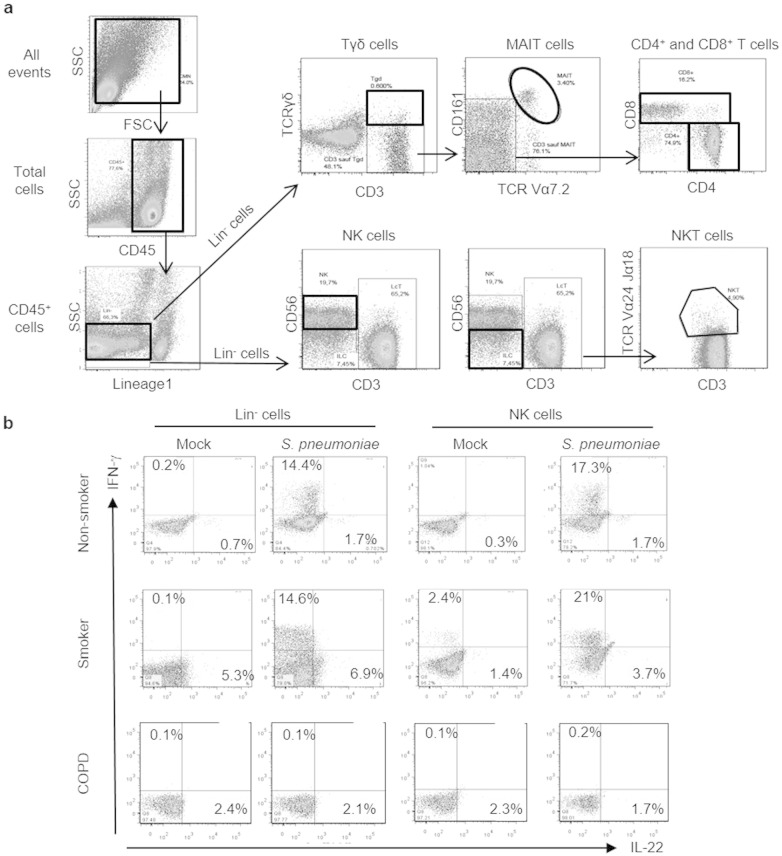 Supplemental Fig. 5