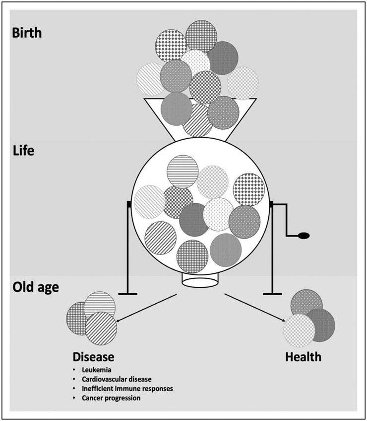 FIGURE 1.