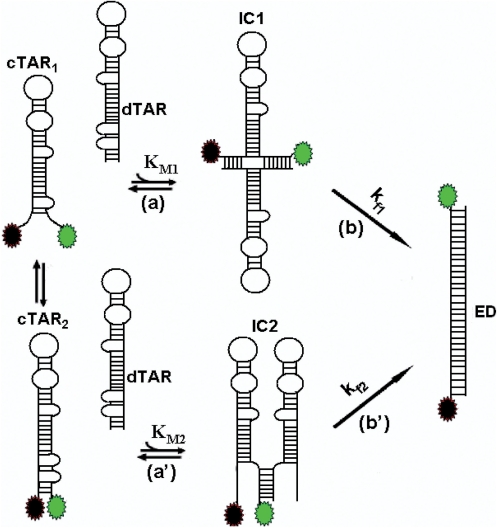 Figure 9.