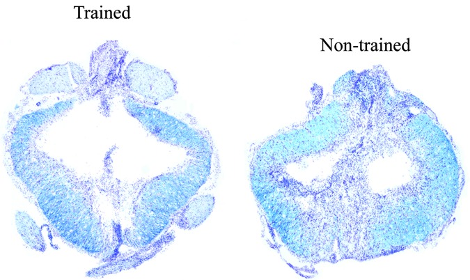 FIG. 9.