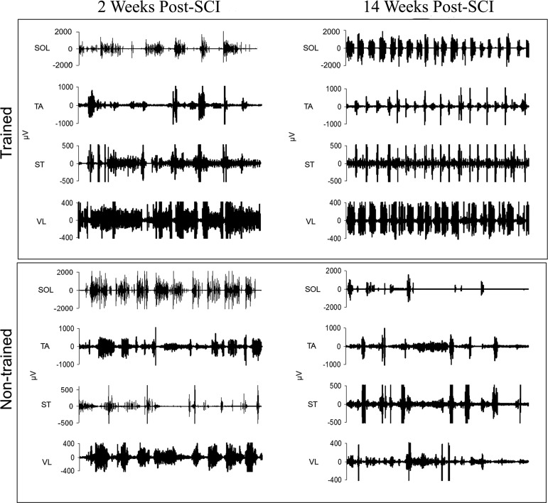 FIG. 7.