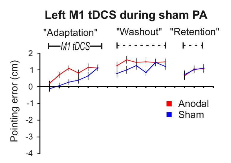 Figure 2—figure supplement 1.