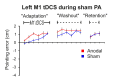 Figure 2—figure supplement 1.