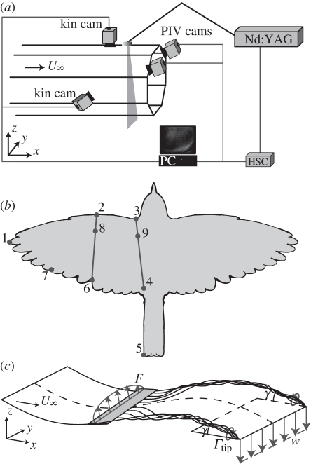 Figure 1.