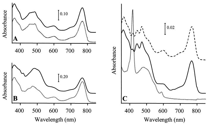 FIG. 3.