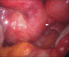 Figure 2b