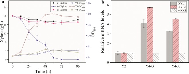 Fig. 3