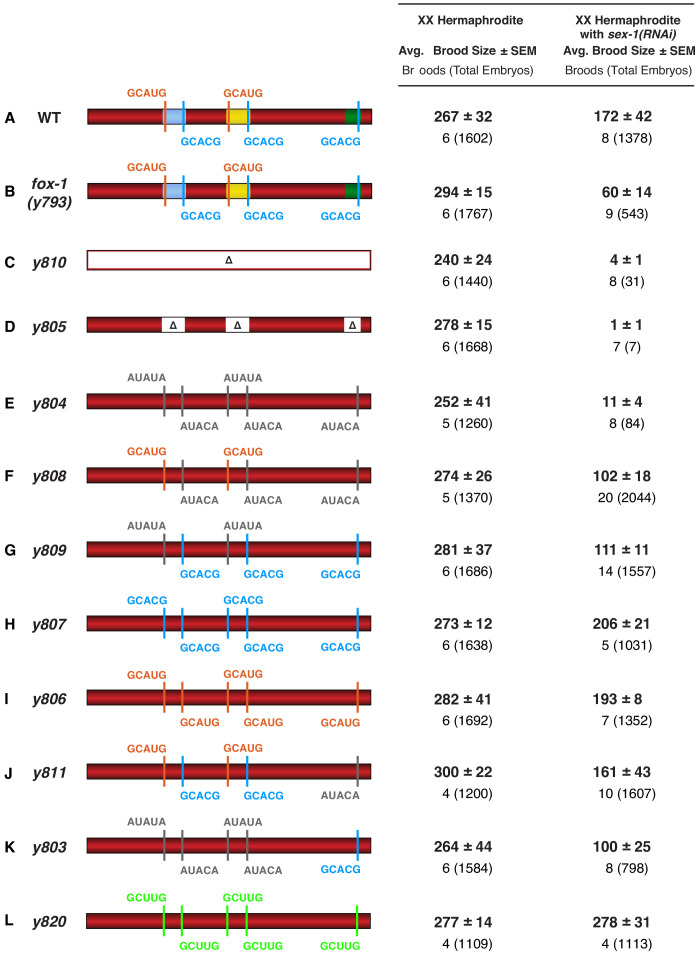 Figure 6—figure supplement 1.