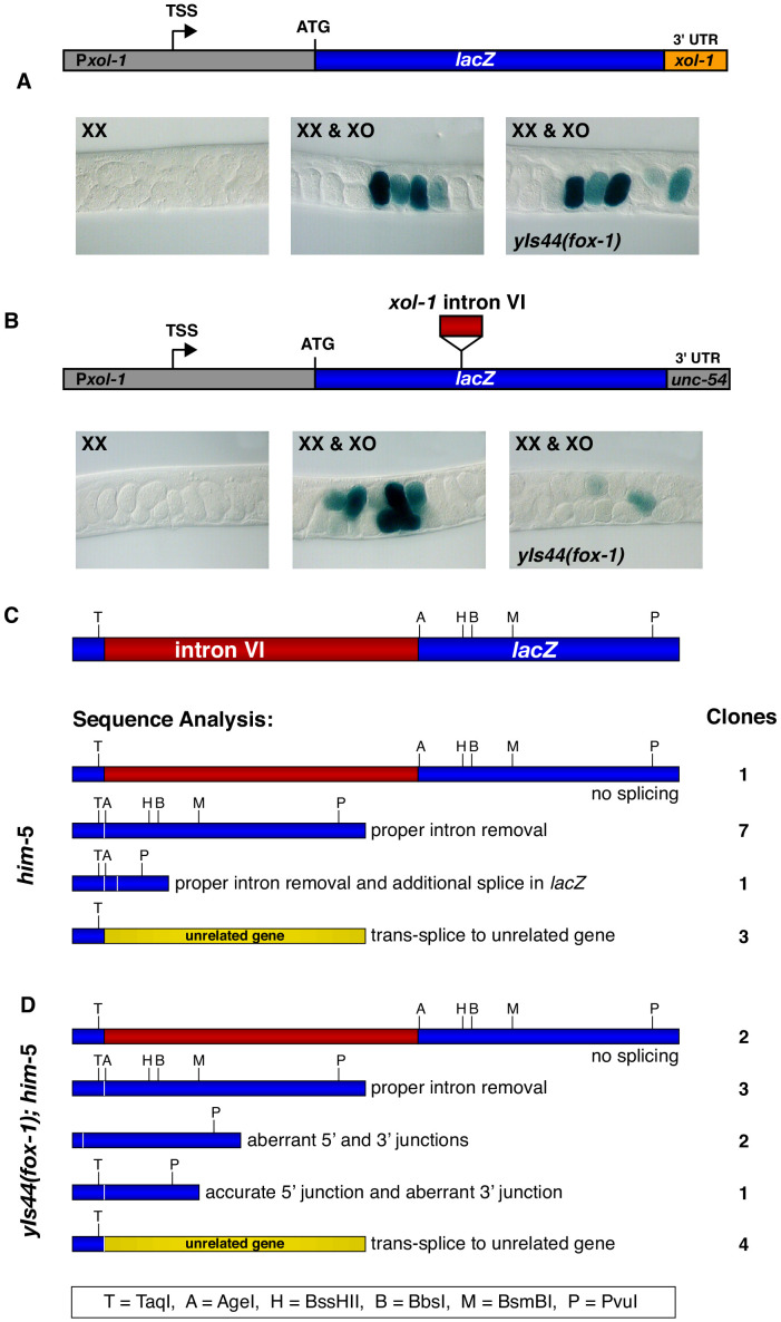 Figure 4.