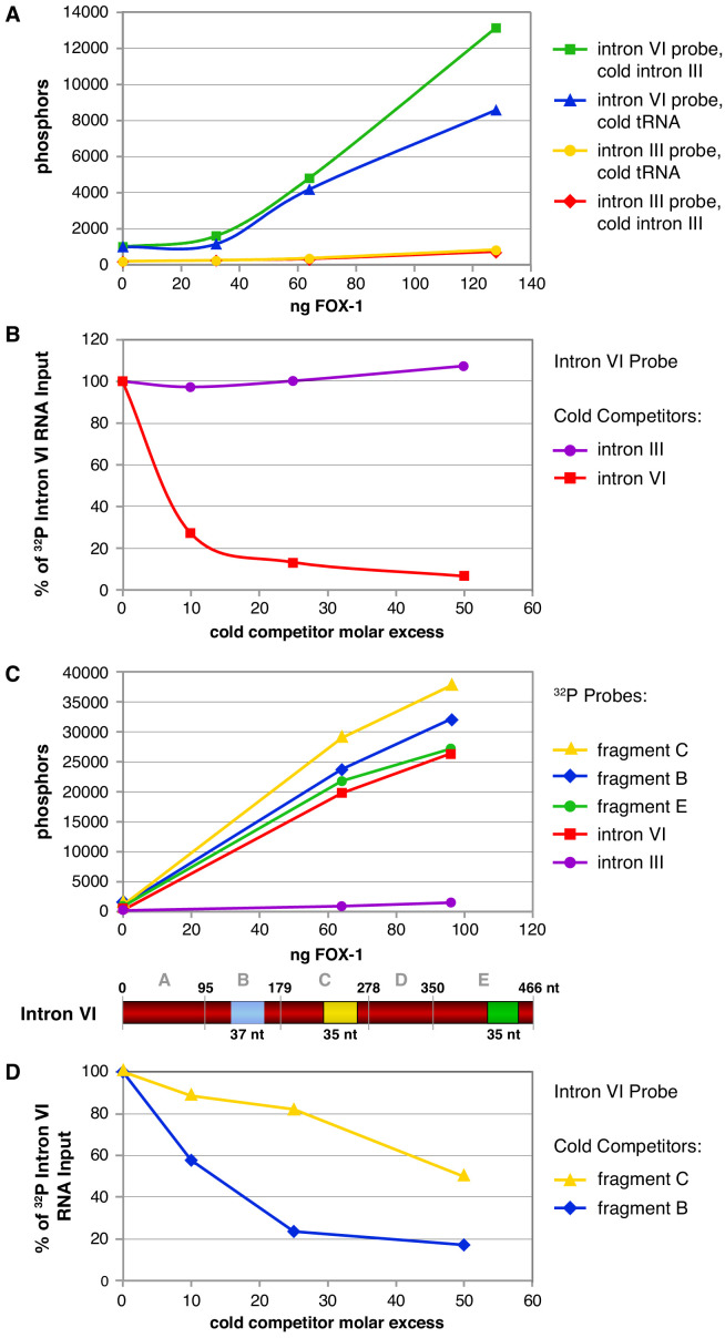 Figure 5—figure supplement 1.