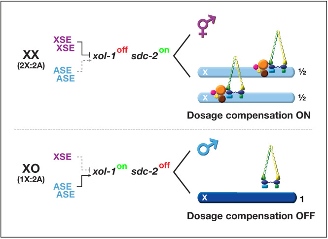 Figure 1.