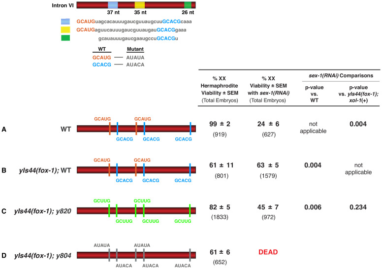 Figure 6—figure supplement 2.