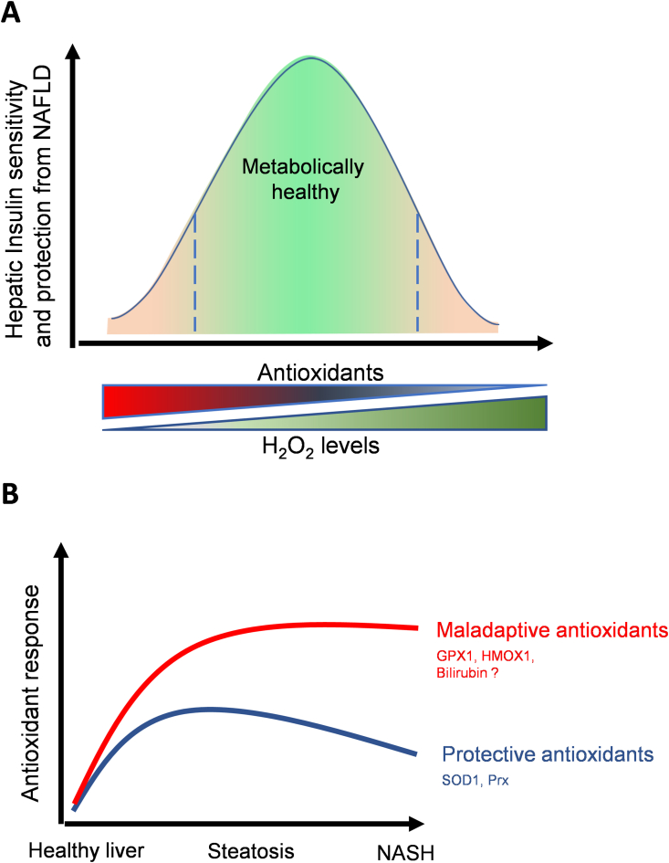 Figure 5