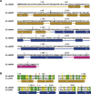 Figure 3—figure supplement 1.
