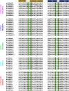 Figure 1—figure supplement 1.
