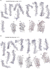 Figure 5—figure supplement 3.