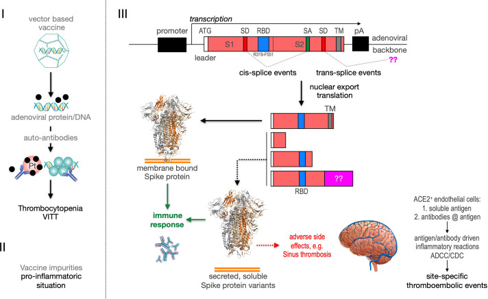 Figure 11.