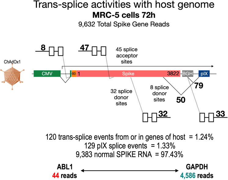 Figure 10.