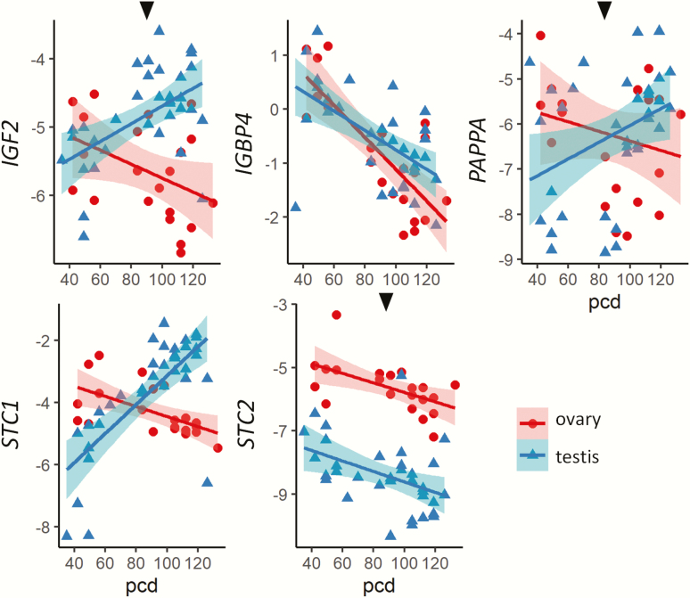 Figure 3.